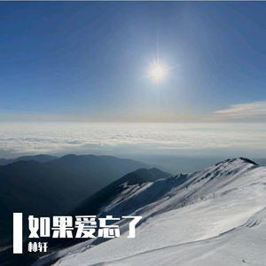 如果爱忘了