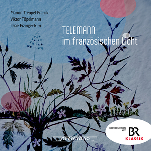 Fantasie in B Minor, TWV 33:15: I. Pompeusement