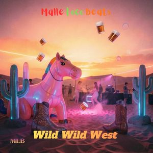 Wild Wild West (Ballermann Party Area Mix)