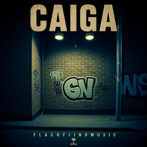 Caiga
