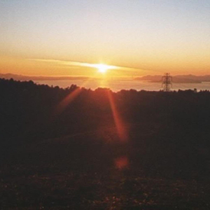 pendulum (feat. brainorchestra)