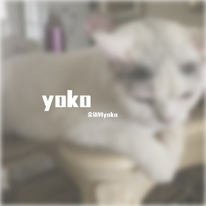 柠檬海盐（prod.byR7）