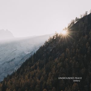 Ungrounded Stillness