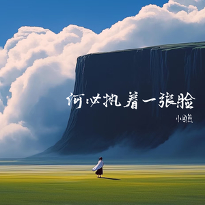 何必执着一张脸