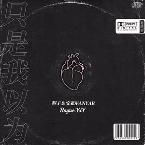 辉子-只是我以为（Rogue杨湘雨 remix）