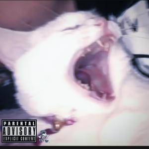 PANORAMA (feat. xSOS)