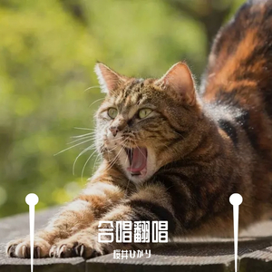 ハッピーサマーウェディング