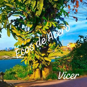 Ecos de Acero