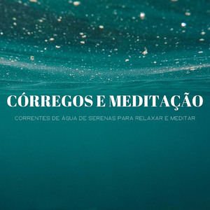 Meditação Rápida