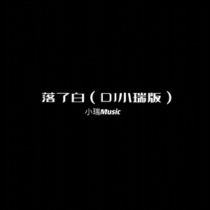 落了白（DJ小瑞版）