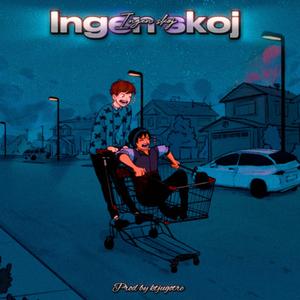 Ingen skoj