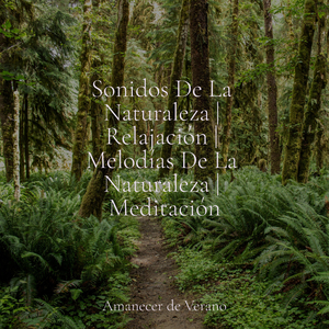 Susurros en la Corriente Submarina