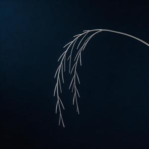 海每送出浪（海每送出一片浪）