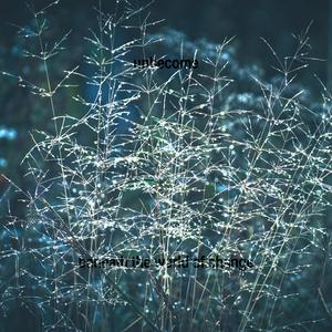 Beneath the World of Change (432 Hz Meditation)