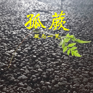 《孤蕨》