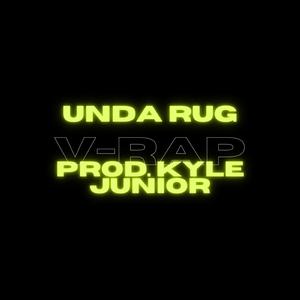 Unda Rug