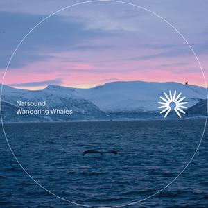 Wandering Whales