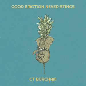 Good Emotion Never Stings