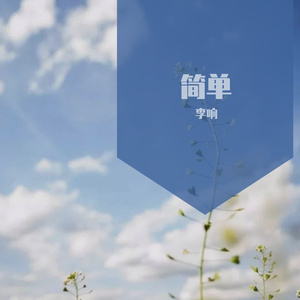 简单 伴奏