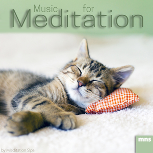 Relaxing River in the Forest