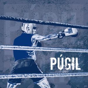 Púgil