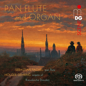 Requiem for Pan Flute, Organ and Harp in D Minor, Op. 48: No.1, In Paradisum