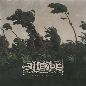 Wind (Acoustic Version)