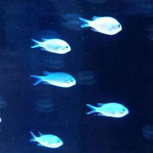 为什么不回消息