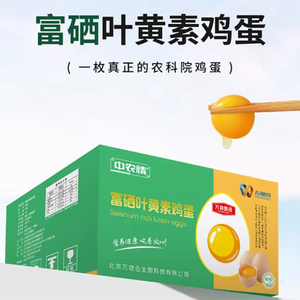 一枚科技蛋的独白.mp3