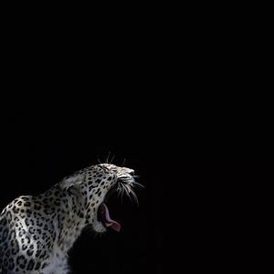 Look At Me Now ( Ekrem Remix )