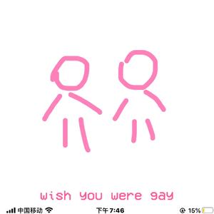wish you were gay