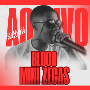 BLOCO MINI ZECAS