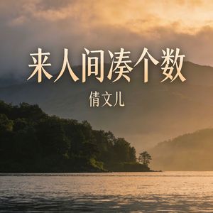 来人间凑个数