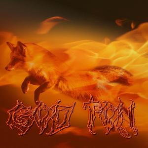 Vindförhållanden Gynnsamma