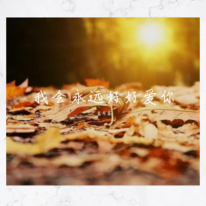 我会永远好好爱你