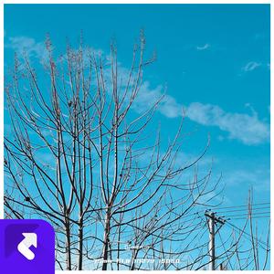 街灯下的凌乱回忆与遗憾纠缠 (现场)