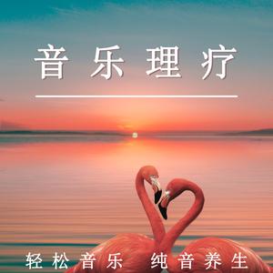 纯音养生（轻音乐）