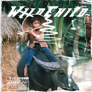 [FREE] " WILDCHILD " - prod. cookinmastaboiii