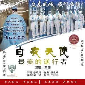 白衣天使最美的逆行者