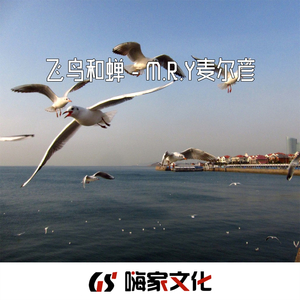 飞鸟和蝉(抖音DJ版)