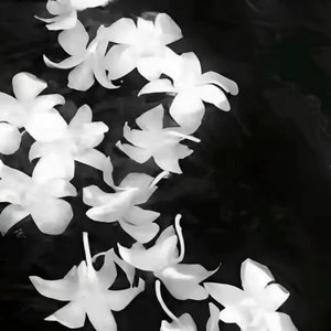 这场雨过后 (纯享氛围版)