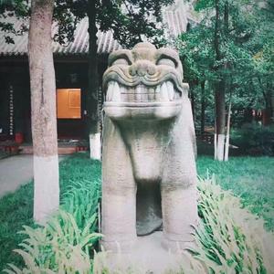 送你回家还被骂成狗 DEMO