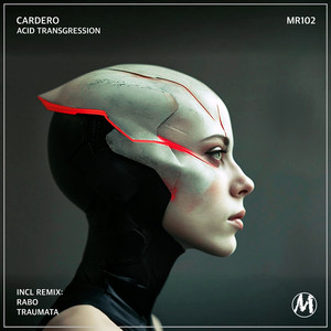 Acid Transgression (Rabo Remix)