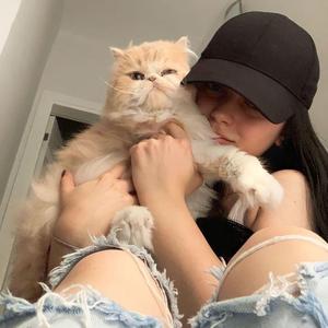 Aşk Paylaşılmaz UD