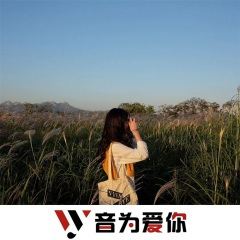 当想你成为习惯 (DJ版)