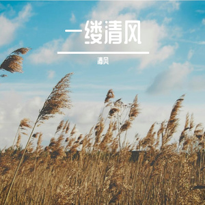 这一站，下一站