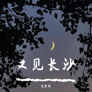 像我这样的人（cover毛不易）