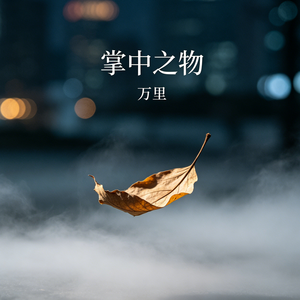 掌中之物