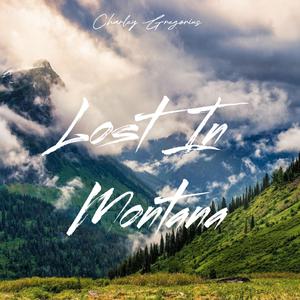 Lost In Montana