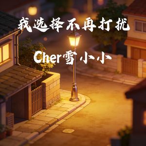 我选择不再打扰 伴奏